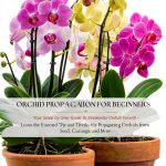 Orchid Gardening Guide for Beginners B0DC98XT26-0