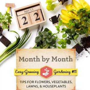 Easy-Growing Gardening Orchid Care Guide Kindle Edition by Author-0